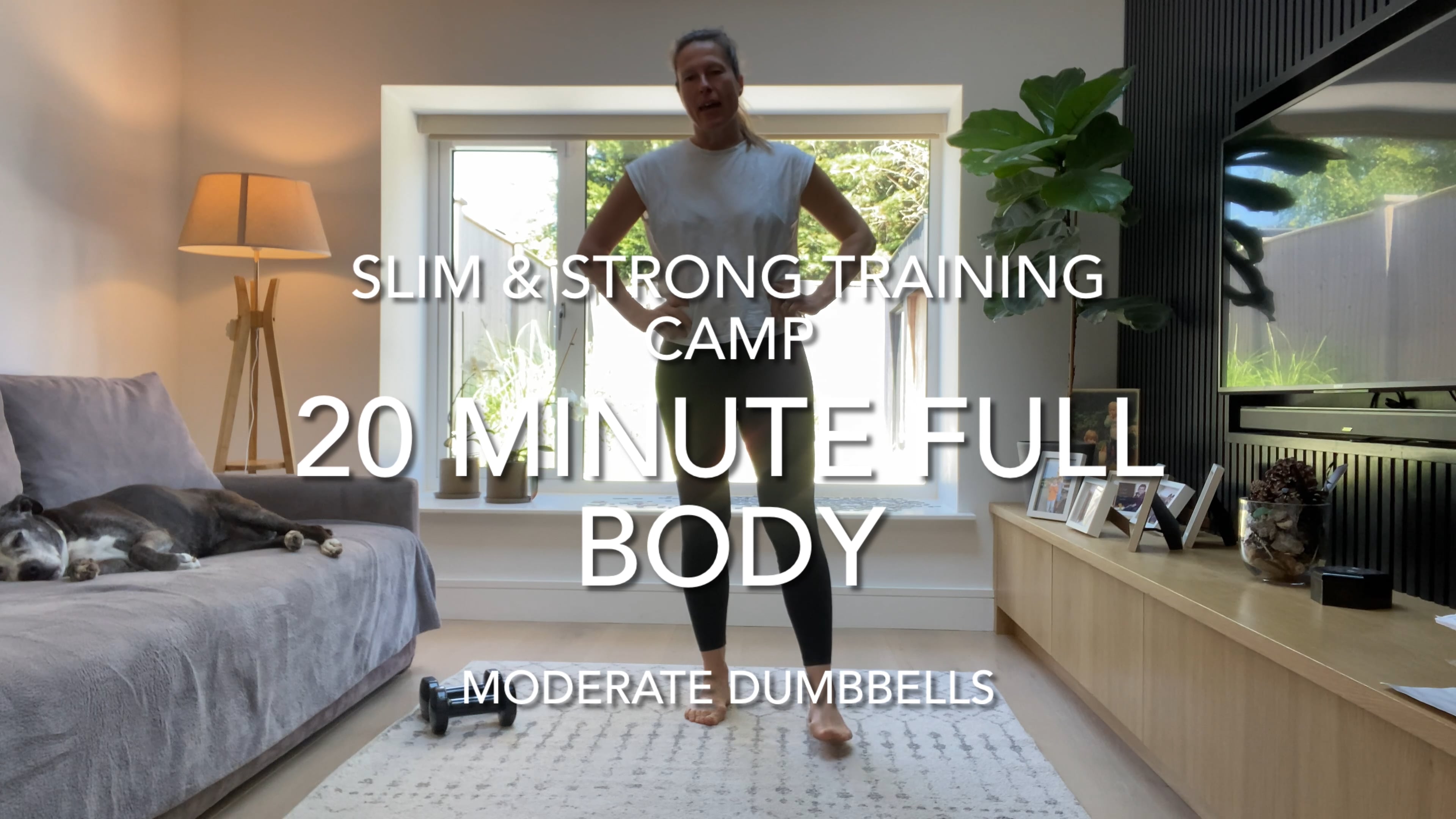20 Minute Full Body (moderate to heavy dumbbells)