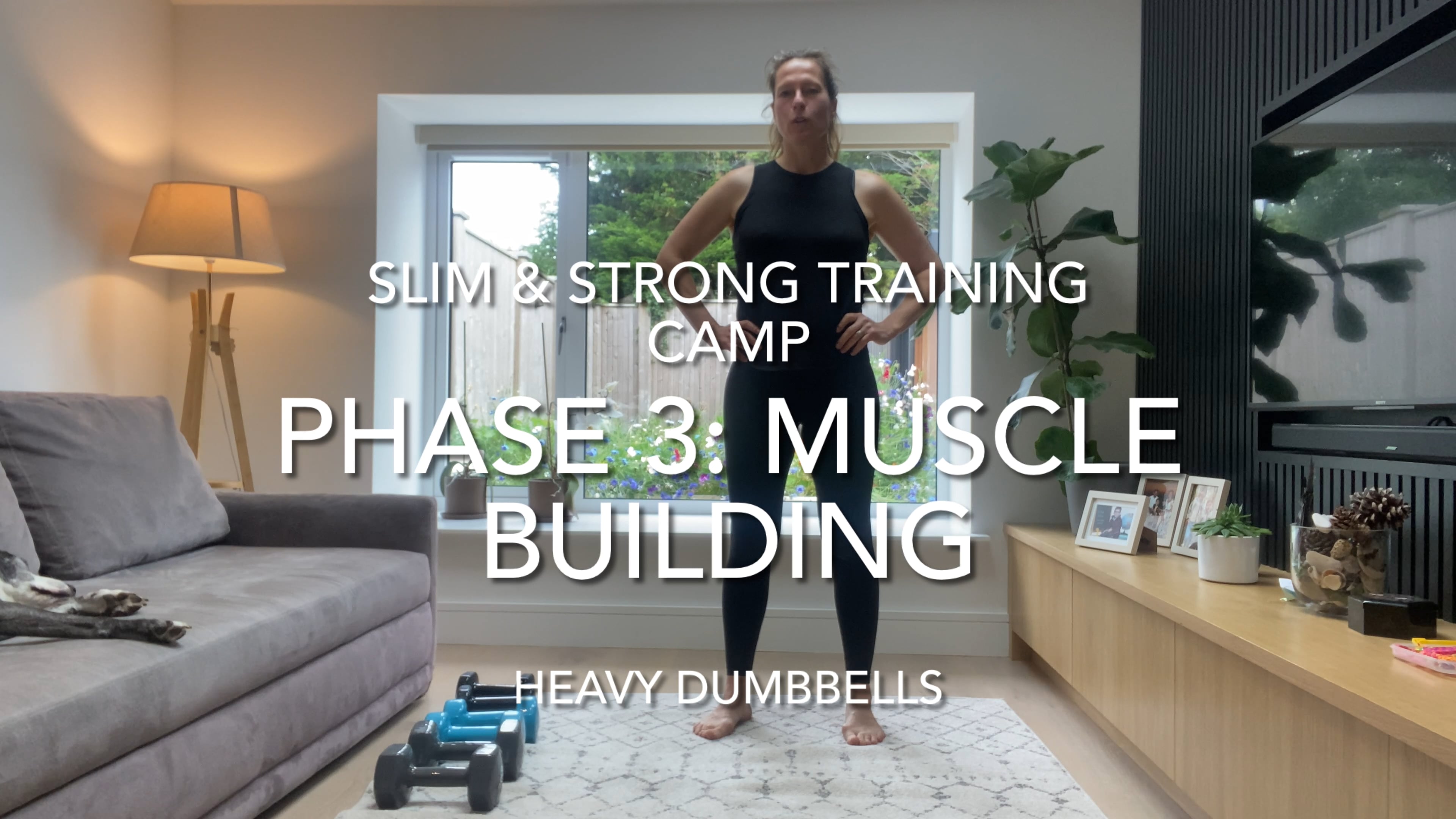 14-Minute Upper Body & Core Muscle Building (heavy dumbbells)