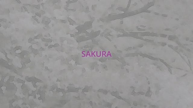 SAKURA 桜