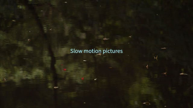 The water surface is like space