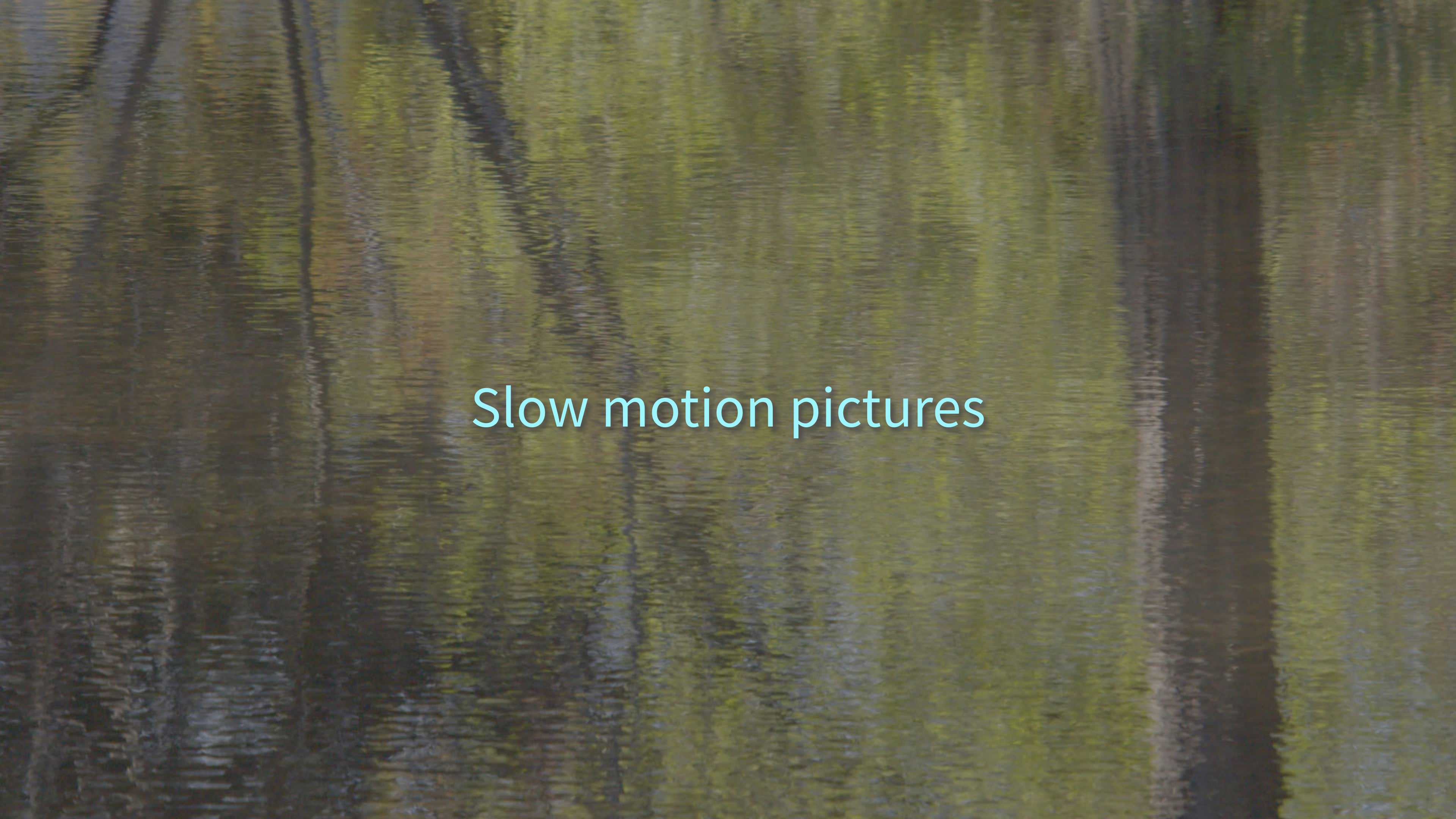 forest　林　short ver.