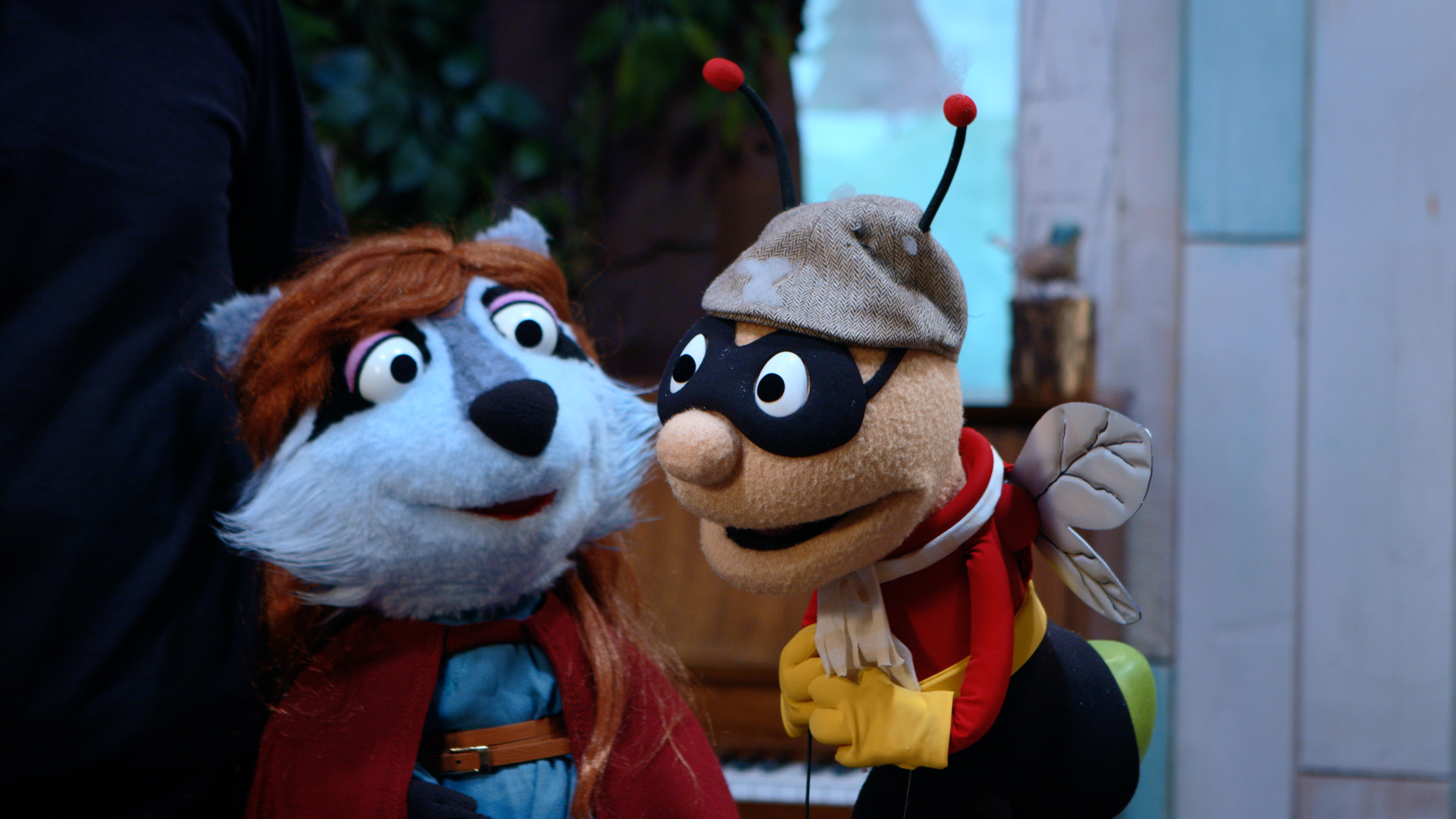 Uncertain about Wonder