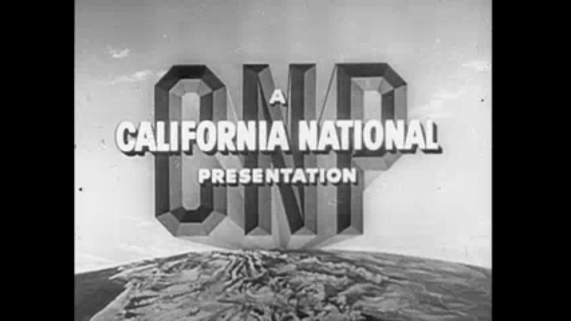 My Favorite Brunette