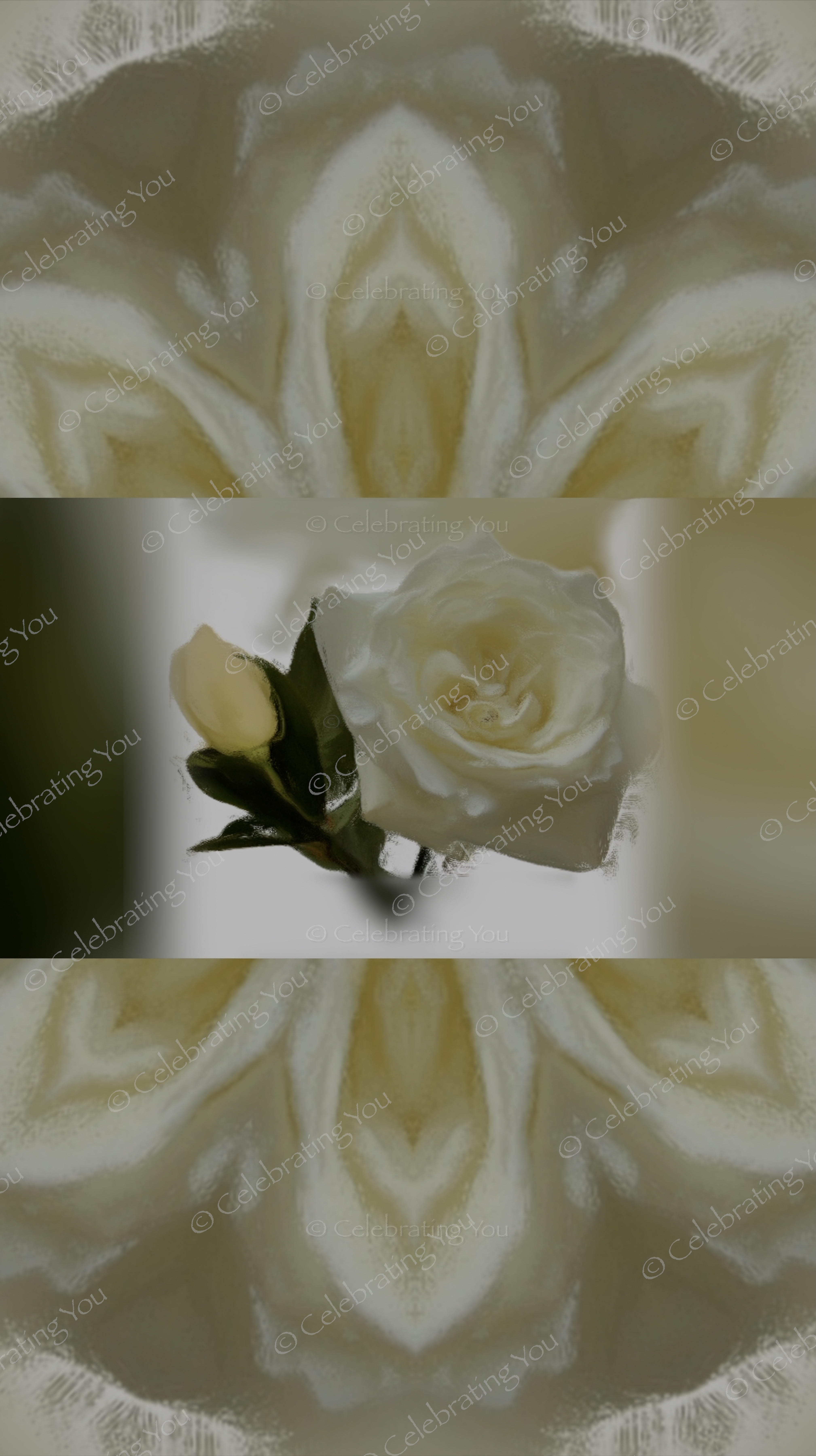 A Rose full of Life | Animation | 9x16 | Short Film