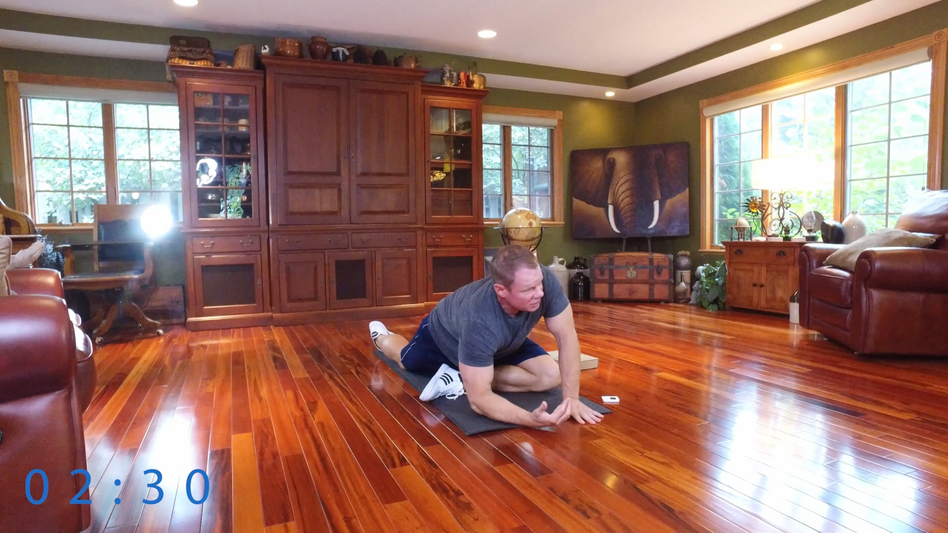 Full Body Mobility at Home in 9 Minutes
