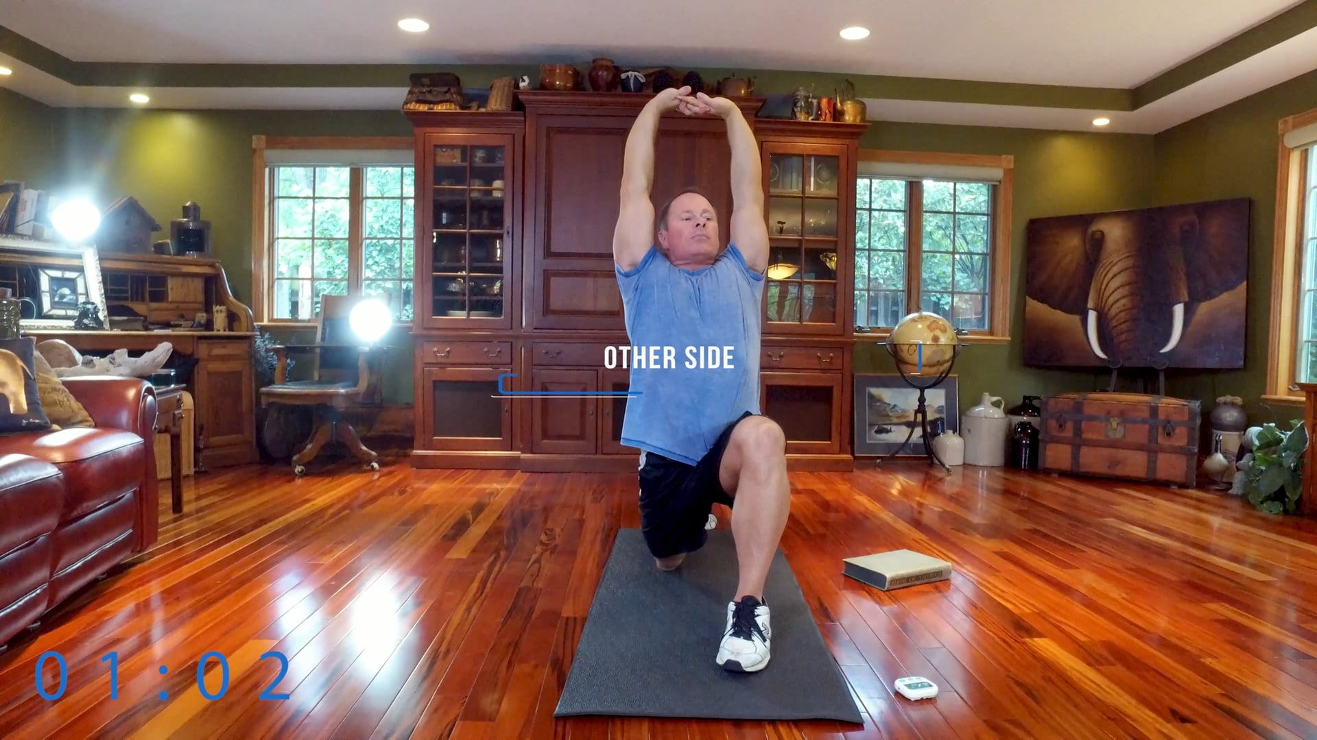 Hip and Ankle Mobility with Some Core and Balance Thrown In