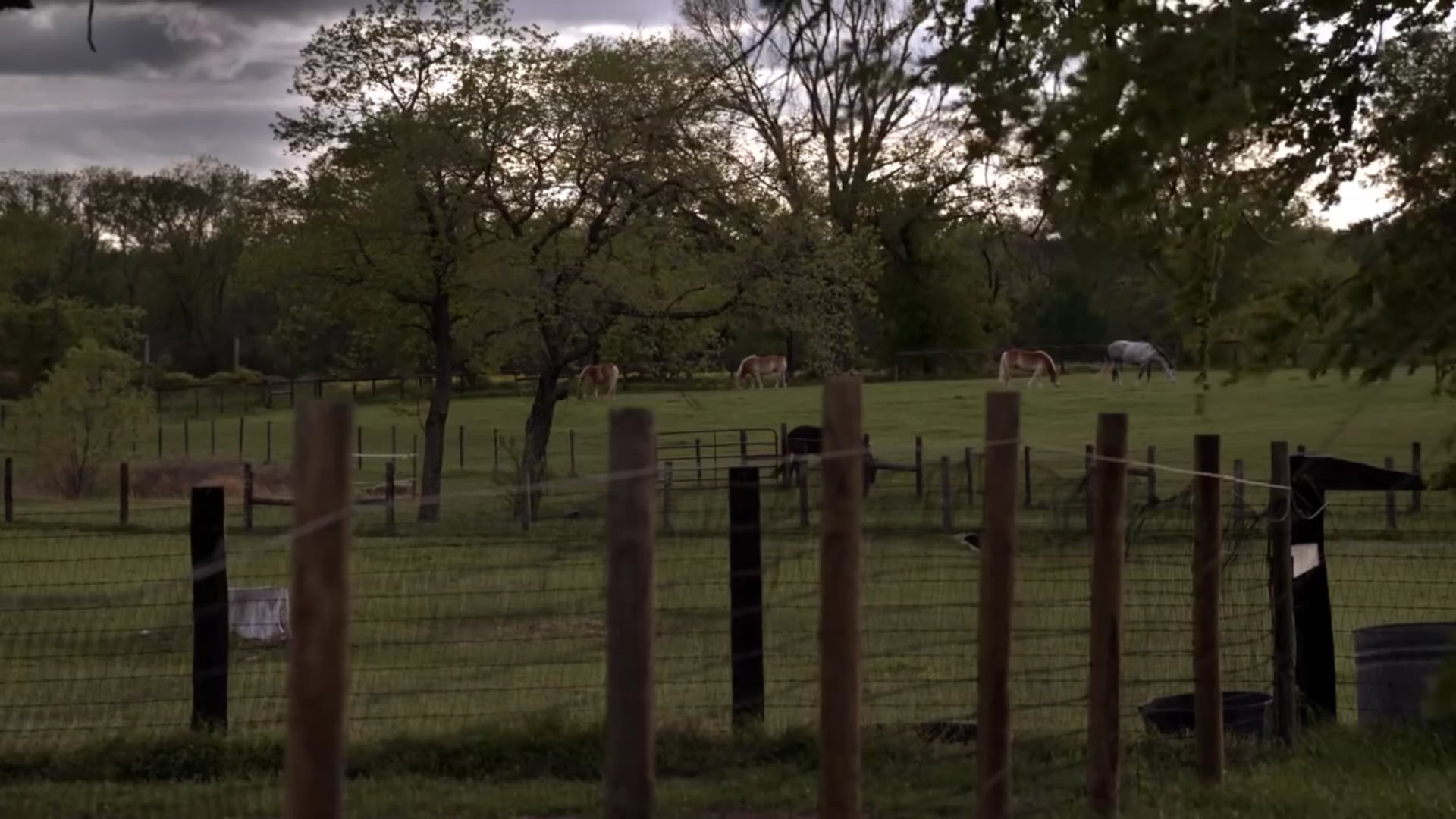 Steps Of Faith Trailer