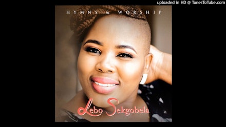 Living Stone Network Video