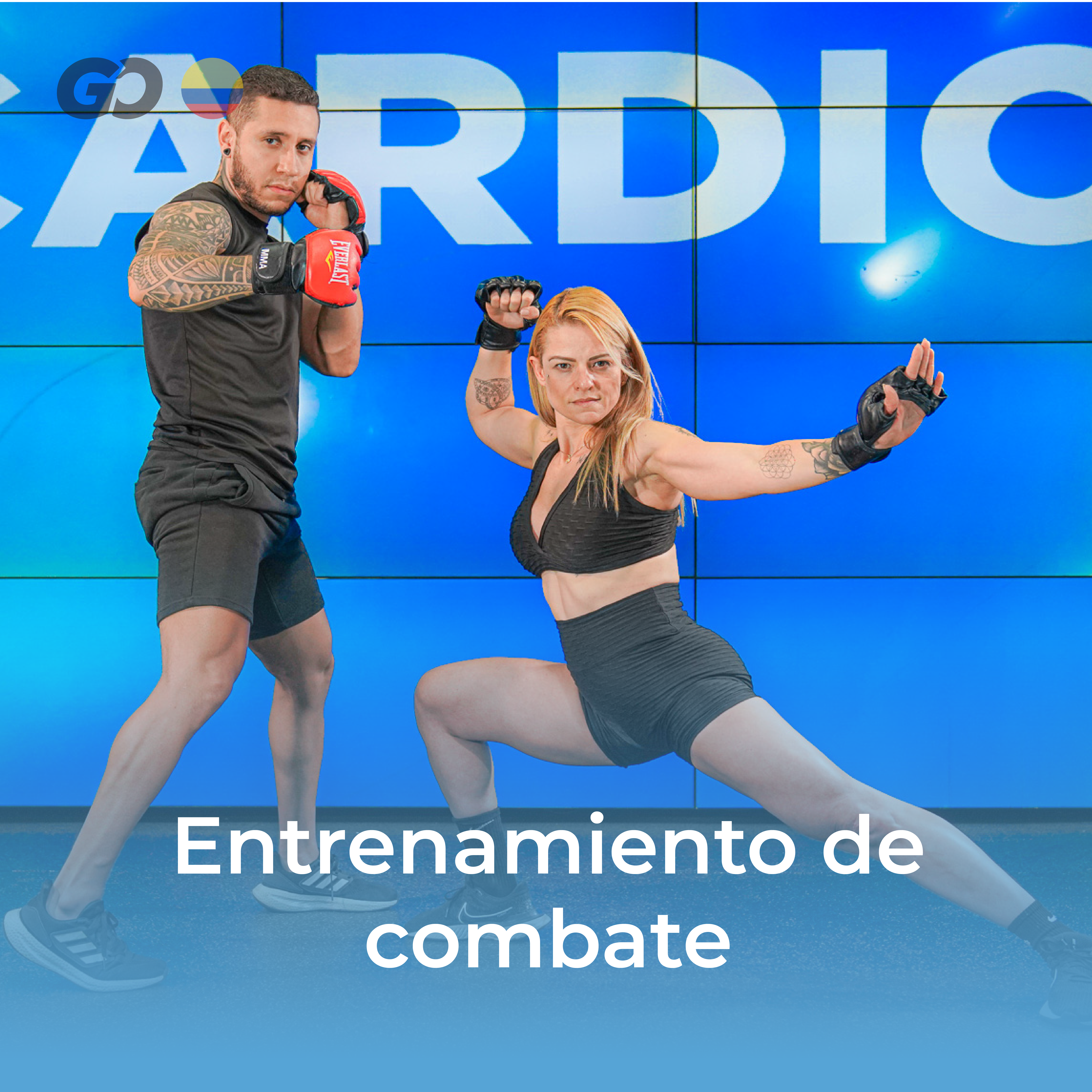 Entrenamiento de combate - COL