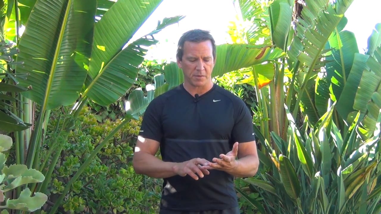 Introduction to the BrainBall®