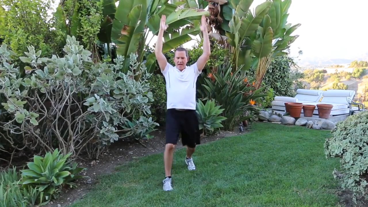 5 Minute DVD Workout 8