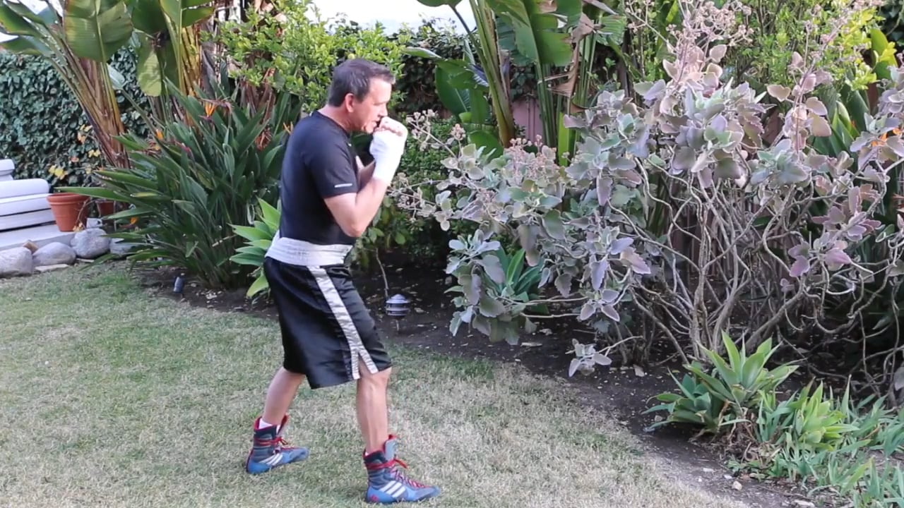 Undefeated! DVD Advanced Instructions