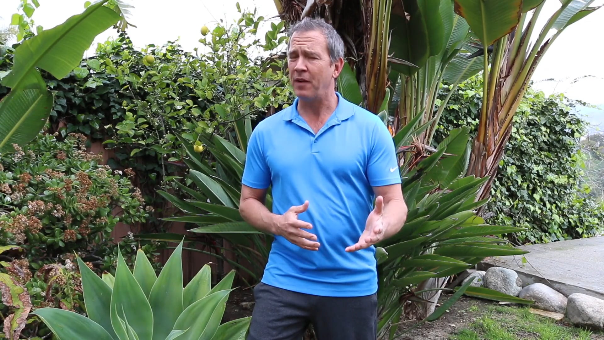 One Minute Reciprocal Movement Chair Exercise