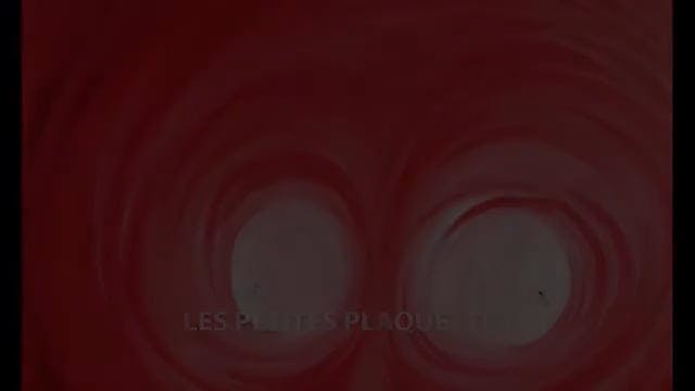 4 La Vie - Les petites plaquettes FRA...