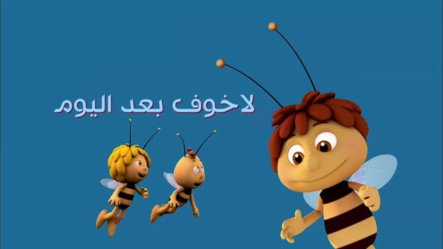 Zayna 16 ARABE