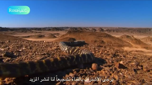 Documentaire ARABE (ARABIC) a'grib al afaa'i 6