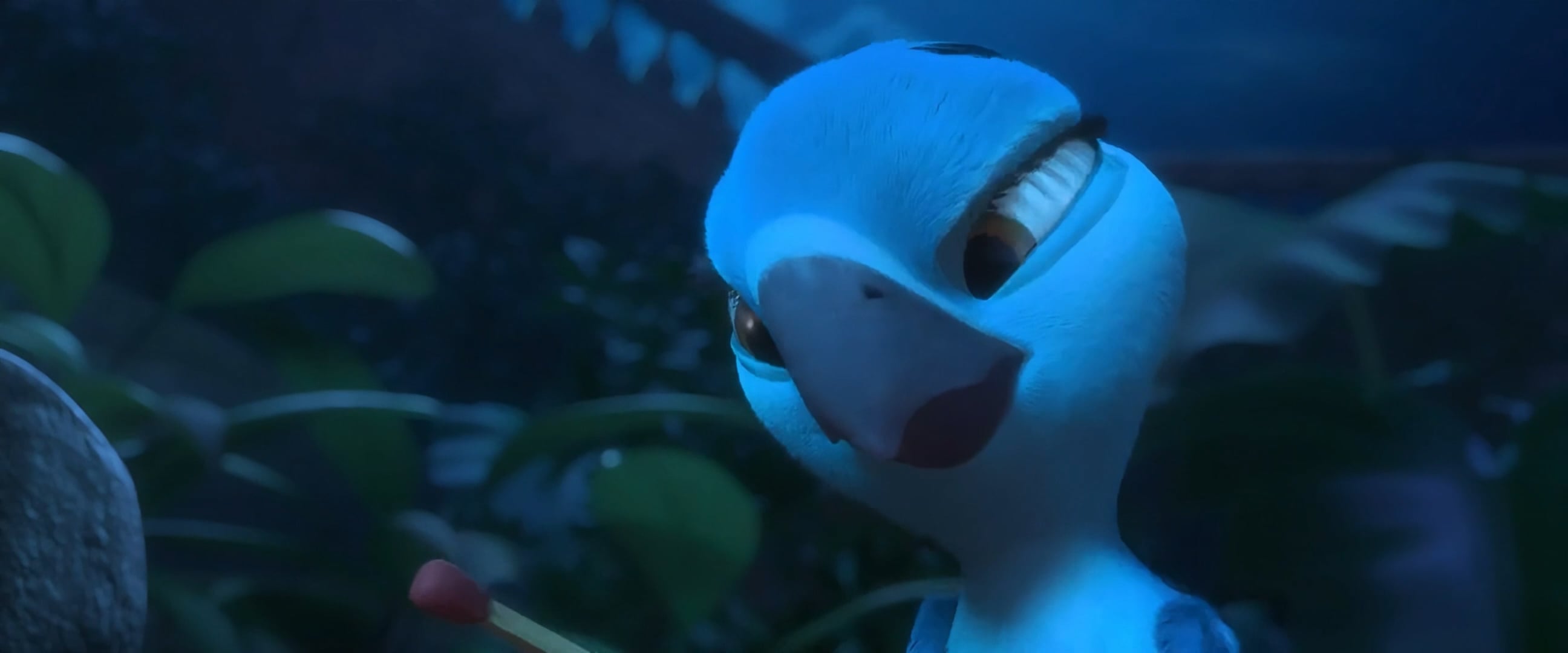 Rio 2 - Age conseille 5/12 ans