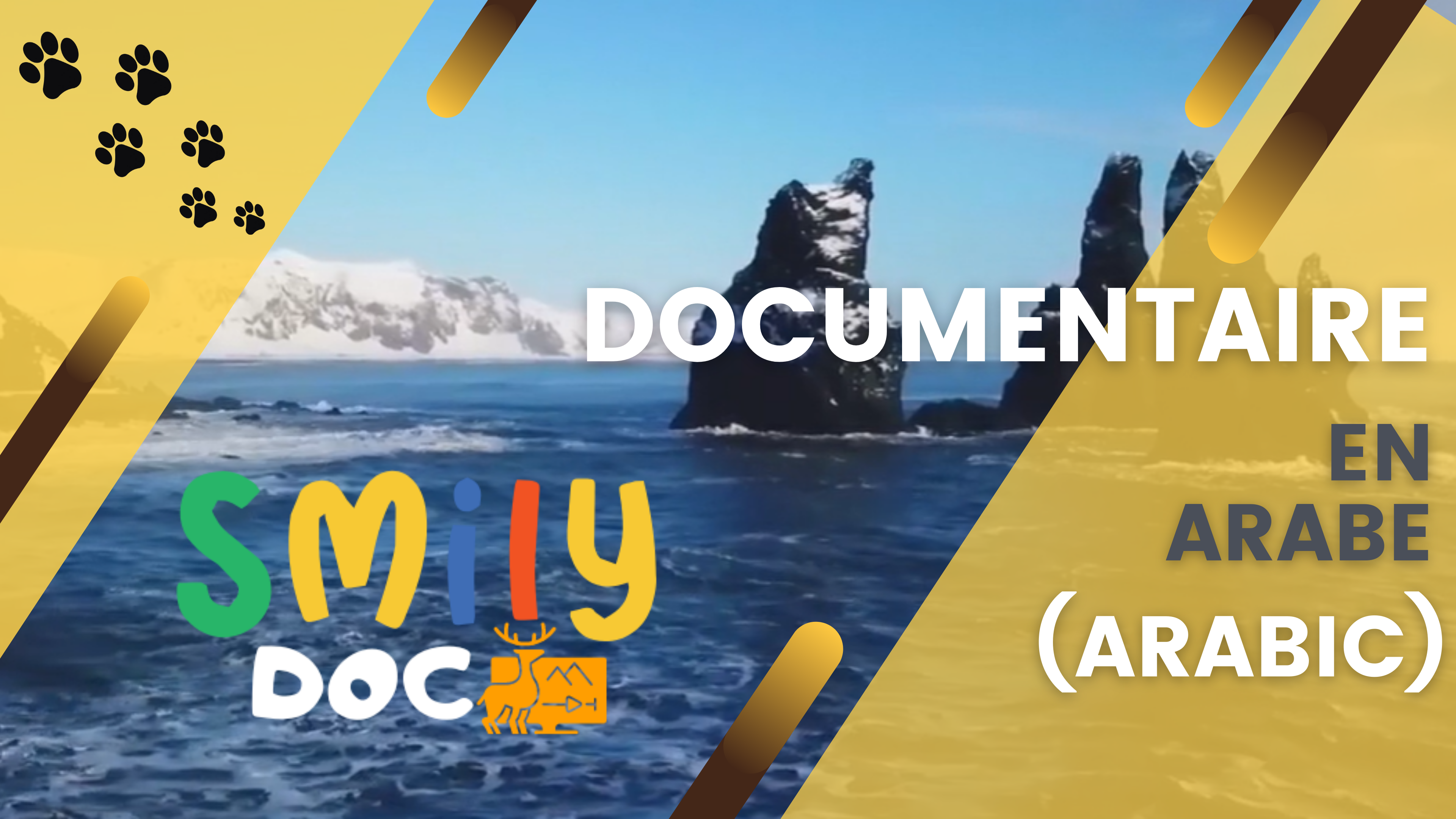 Tout Smily | Documentaire ARABE (ARABIC)