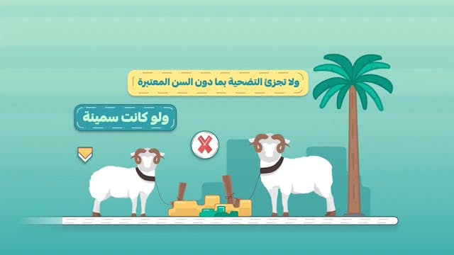 من أحكام الأضحية _  18 Le Règles du H...