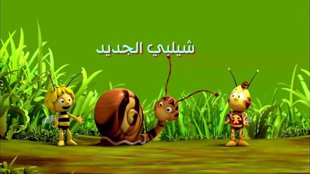 Zayna 10 ARABE (ARABIC)