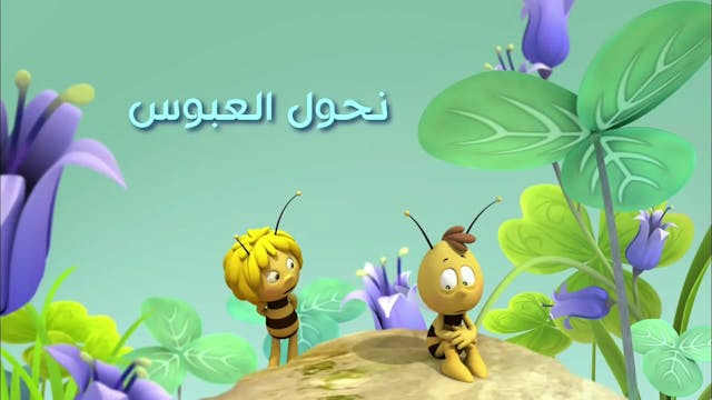 Zayna 14  ARABE 