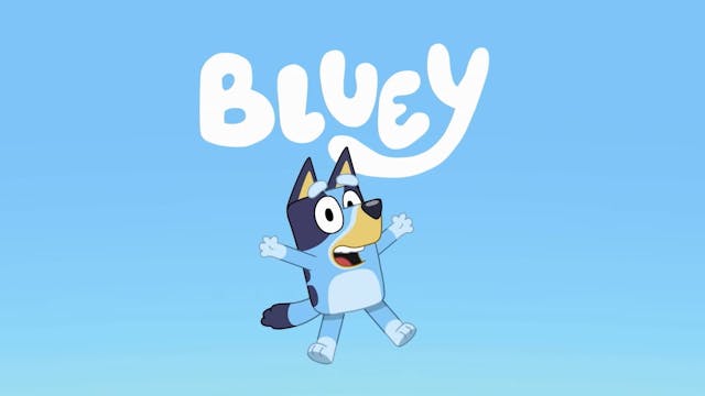 8) : Bluey FRANÇAIS (french)
