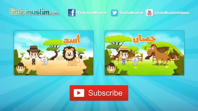 Human Body Parts in Arabic for Kids - أجزاء جسم الإنسان باللغة العربية للأطفال