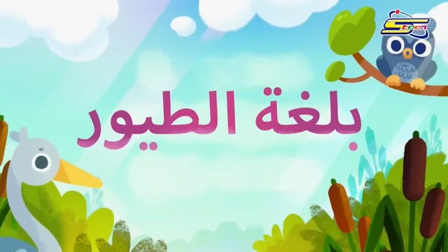 BuBu 11 ARABE (ARABIC)