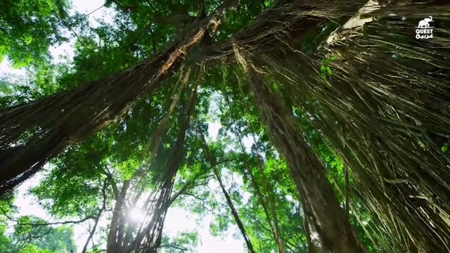 Documentaire Arabic nosra 12