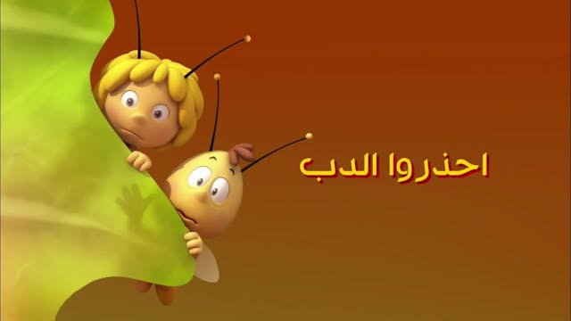 Zayna 30 ARABE