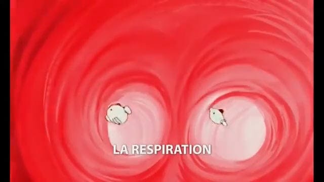 6 La Vie - La respiration  FRANCAIS (...