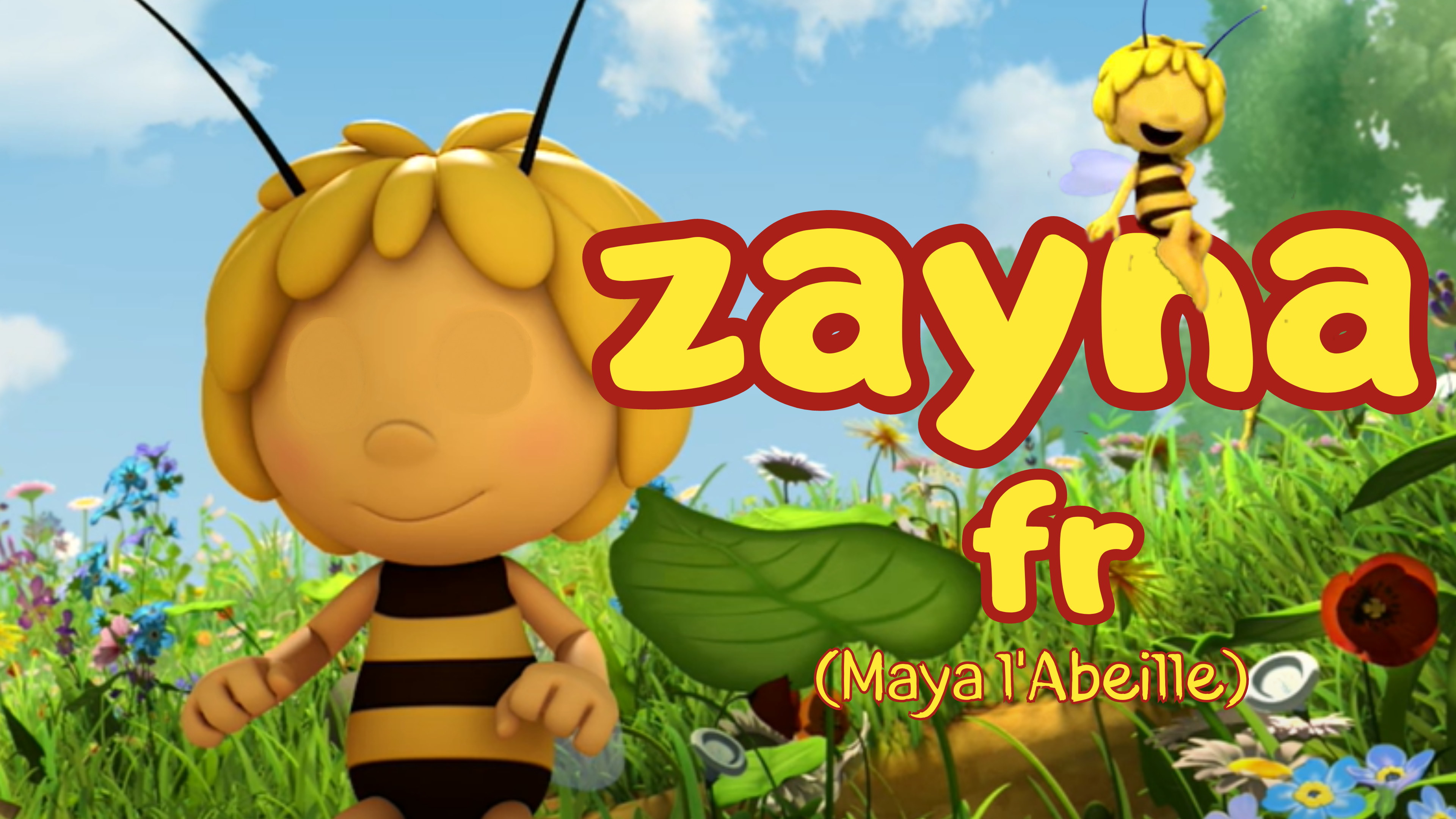 Tout Smily | Zayna FRANÇAIS (FRENCH) (Maya l'Abeille)