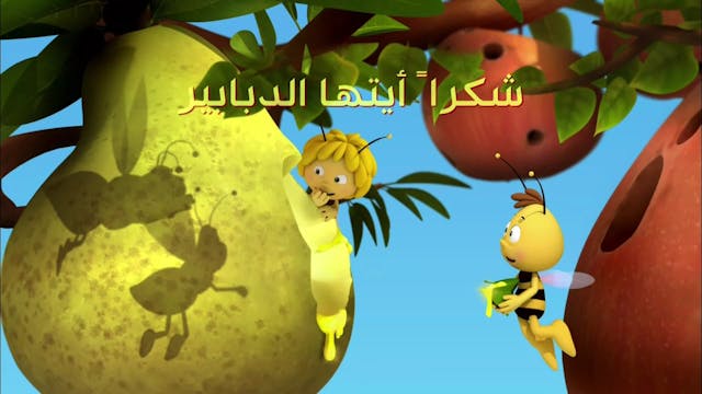Zayna 15 ARABE
