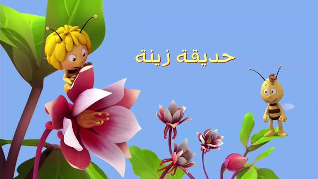 Zayna 28 ARABE