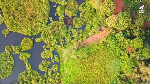 Documentaire Arabic barri brasil 11