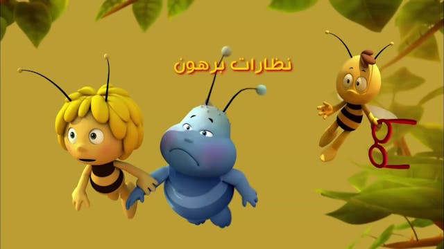 Zayna 21 ARABE