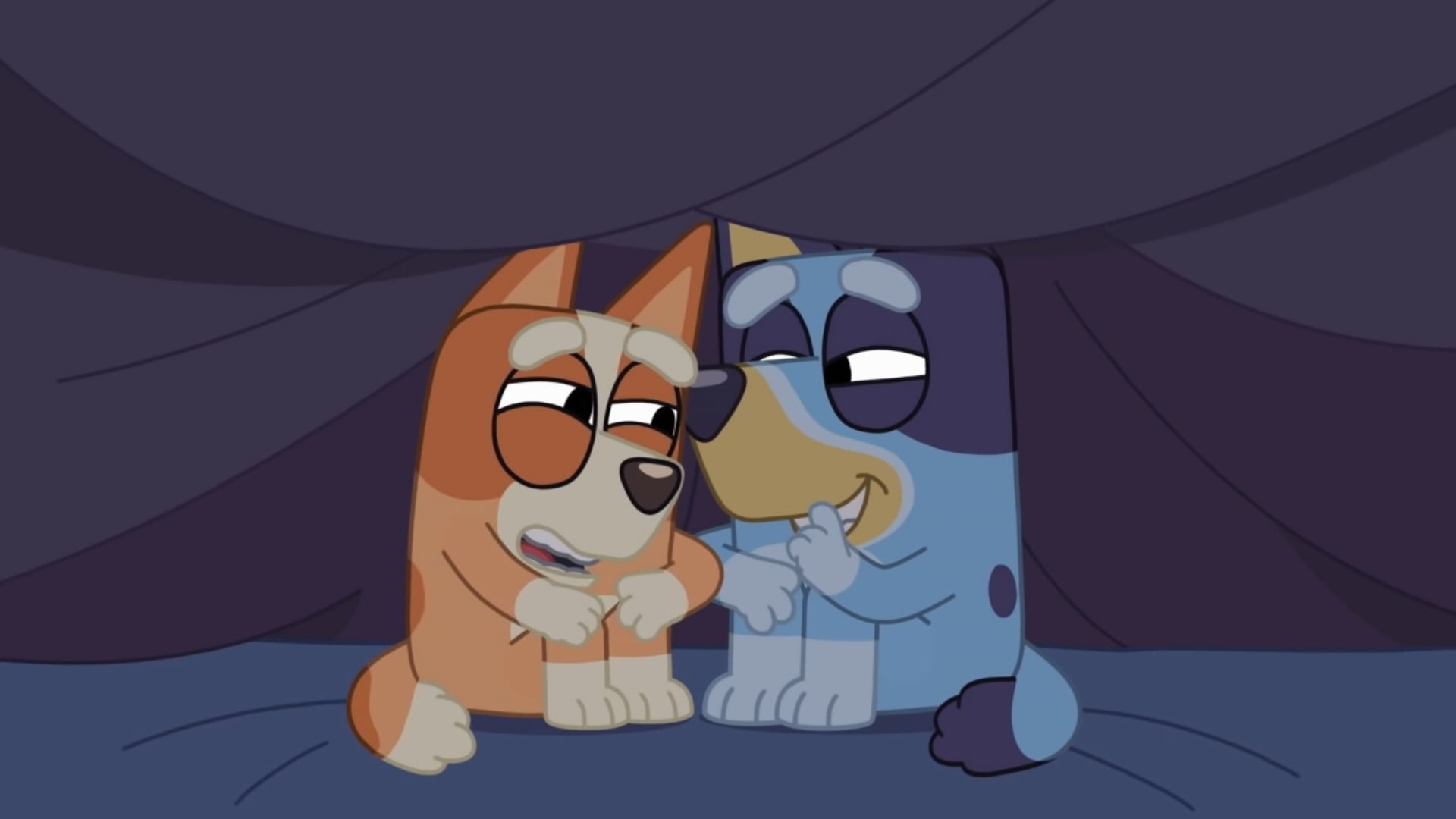 5): Bluey FRANÇAIS (french)