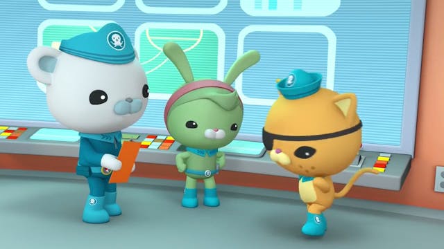 Octonauts 8 ARABE (ARABIC)