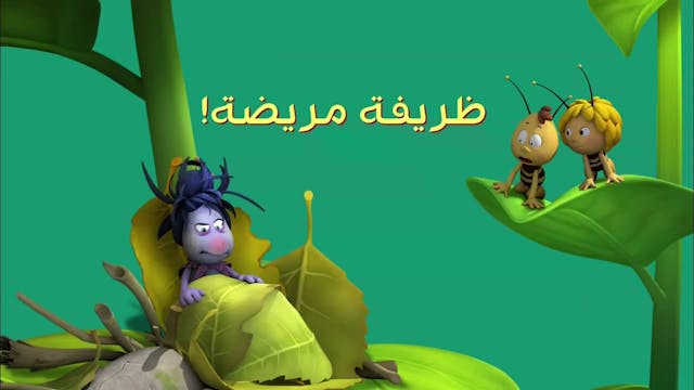 Zayna 26 ARABE
