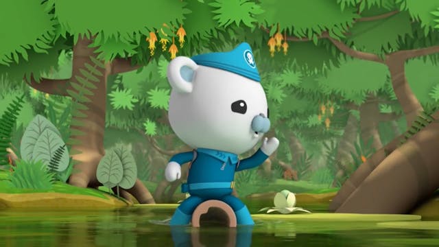 Octonauts 8 FRANÇAIS (FRENCH)