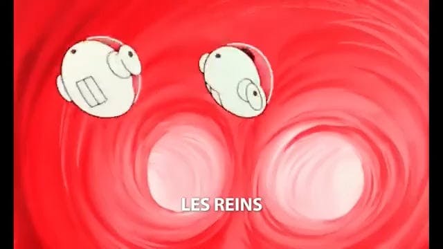3 La Vie - Les reins  FRANCAIS (FRENCH)