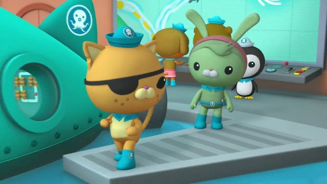 Octonauts 14 ARABE (ARABIC)