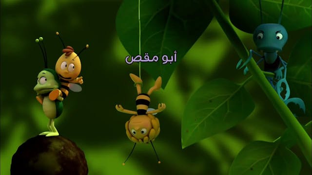 Zayna 35 ARABE (ARABIC)
