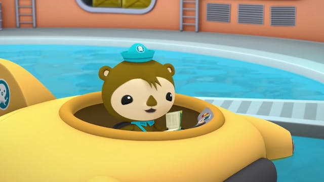 Octonauts 13 ARABE (ARABIC)