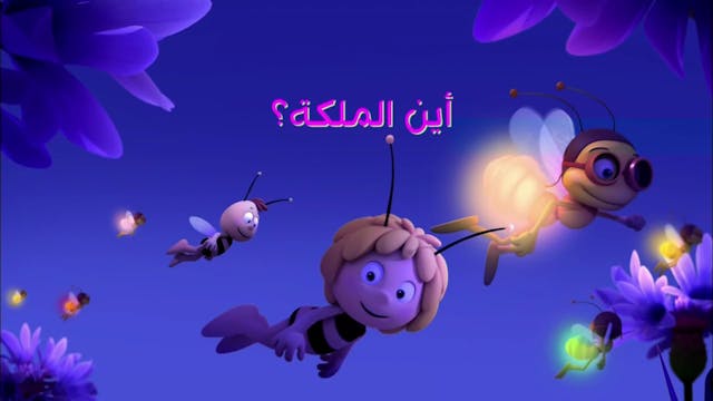 Zayna 11 ARABE (ARABIC)