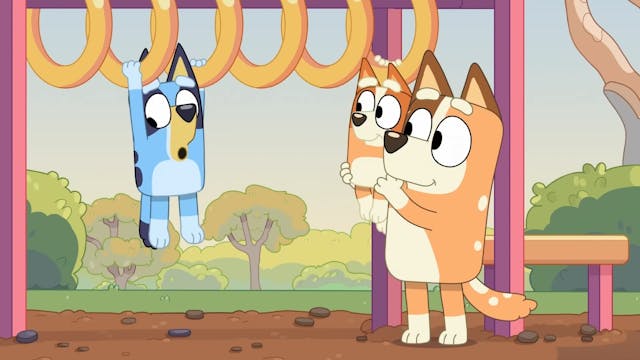 3) : Bluey FRANÇAIS (french)