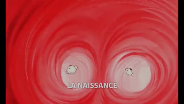 7 La Vie - La naissance FRANCAIS (FRE...