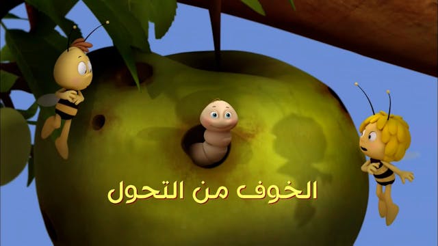 Zayna 3 ARABE (ARABIC)