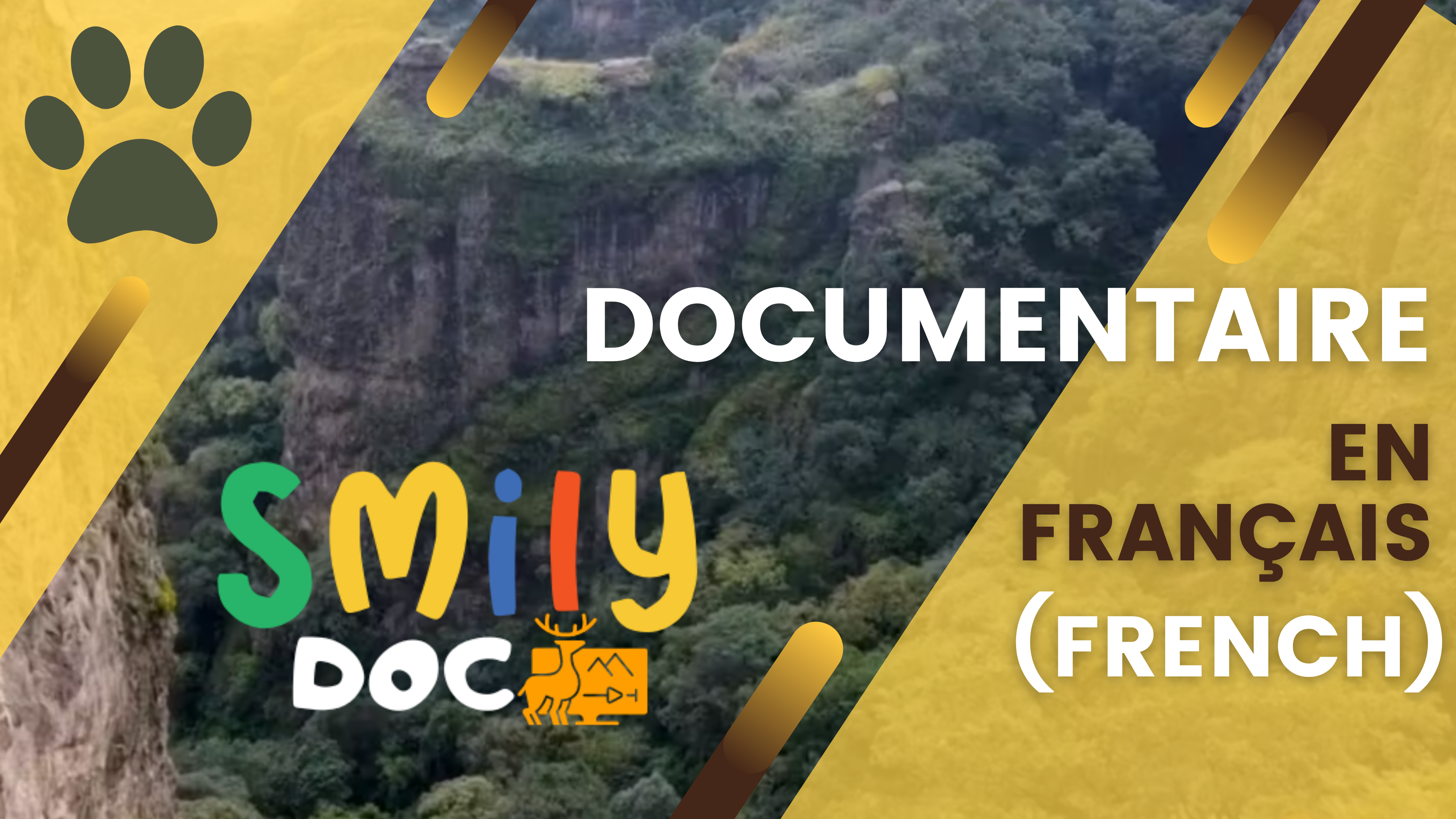 Tout Smily | Documentaire FRANÇAIS (FRENCH)