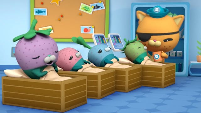 Octonauts 6 FRANÇAIS (FRENCH)